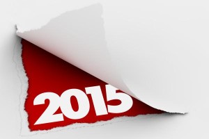 Планы на 2015 год 